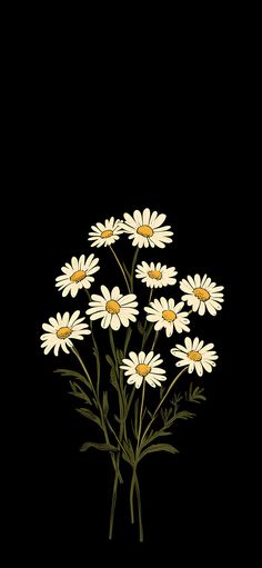 a bunch of daisies on a black background