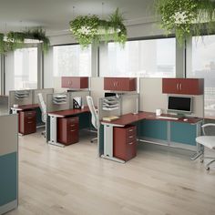 an office cubicle with desks, chairs and plants hanging from the ceiling in front of large windows