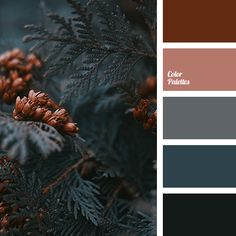 the color scheme is brown, blue and grey with pine cones on it's branches