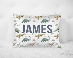 a pillow with dinosaurs on it and the name james written in large letters above them