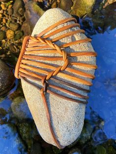 a rock that has some kind of wire on it and is sitting in the water