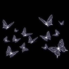 many white butterflies are flying in the dark sky with their wings spread out and glowing