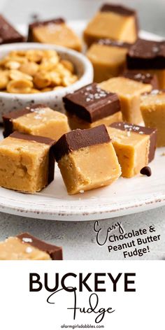 several pieces of chocolate and peanut butter fudge on a plate