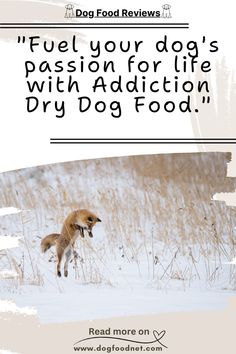 a fox running through the snow with a quote about fuel your dog's passion for life with addition dry dog food