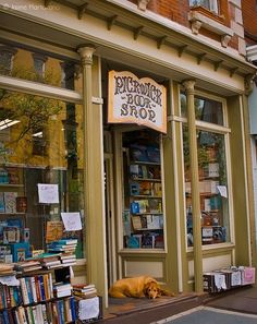 a dog laying on the sidewalk in front of a book store with bookshelves