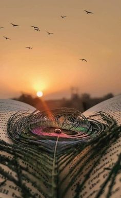 an open book with birds flying in the sky above it and sun setting behind it