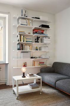 a living room with a couch, coffee table and bookshelf on the wall