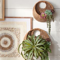 two wicker baskets with plants in them on the wall next to pictures and artwork