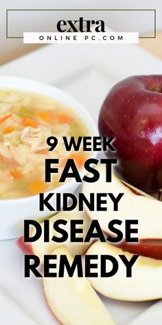 When patients face advanced kidney disease, dialysis and transplantation are usually considered the two likely modality options. Kidney Repair, Kidney Foods