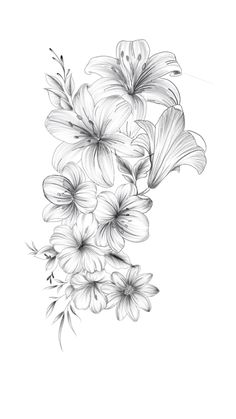 a drawing of flowers on a white background