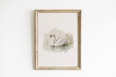 a white swan floating on top of a body of water under a framed art piece