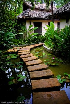 a small pond with stepping stones leading to a house