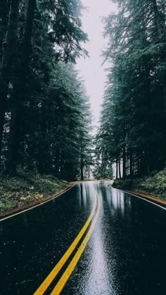 a wet road in the middle of a forest with tall trees on both sides and one yellow line at the end