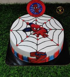 a spiderman birthday cake is on the grass