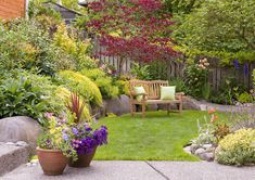 a garden with flowers and plants in it