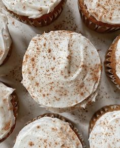 cupcakes with white frosting and cinnamon sprinkles are arranged in rows