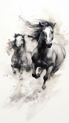 two black and white horses running in the wind