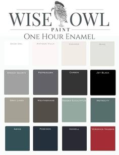 the color scheme for wise owl paint