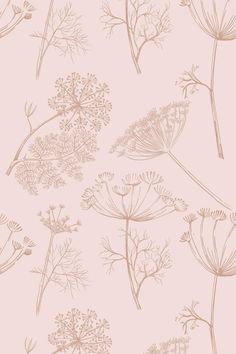 a pink wallpaper with dandelions on it