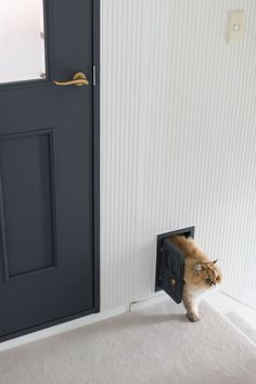 a cat is coming out of the door to get into the litter box on the floor