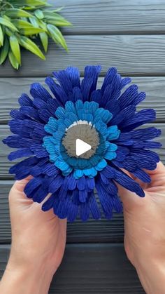 a person holding a blue flower in their hands