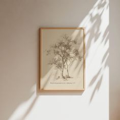 the shadow of a tree is cast on a white wall above a framed art piece