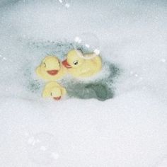 two rubber ducks are in the foamy water