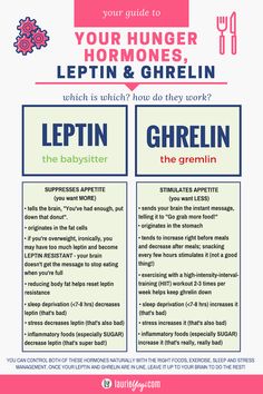 Leptin Diet, Leptin And Ghrelin, Leptin Resistance, Lower Stomach, Skin Bumps, Baking Soda Beauty Uses, The Great, Doctor Visit, Health Snacks