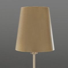 a lamp that is on top of a table with a light on the side and a brown shade over it