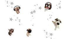 four dogs and three cats wearing headphones with stars on the background, all looking up