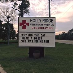 a sign that says holly ridge veterinary hospital on it's front lawn with trees in the background