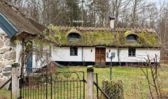 Under $100K Sunday - c.1909 Thatched Roof Cottage For Sale In Sweden Under $85K usd