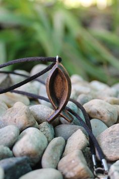 a close up of rocks with a plant in the middle