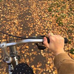 a person riding a bike on a leaf covered road