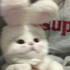 a close up of a person holding a stuffed animal rabbit in their hands with the caption support