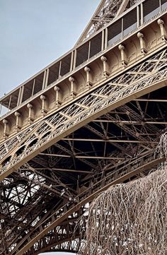 the eiffel tower is very tall and has many branches growing out of it