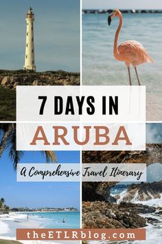 the words 7 days in arubaa with images of flamingos and lighthouses