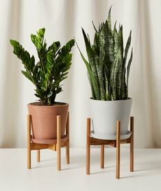 two potted plants sitting on wooden stands