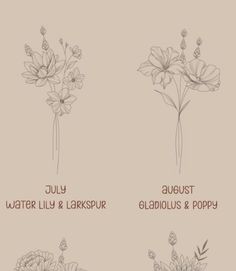 four different types of flowers are shown in this graphic style, with the words july, water lily and larkspur