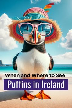 a penguin wearing sunglasses and a hat with the words puffins in ireland