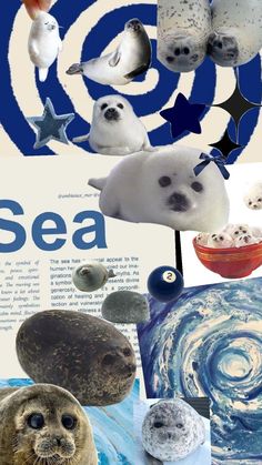 an image of sea animals collaged together