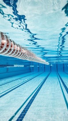 an empty swimming pool with no people or swimmers in the water and only one swimmer