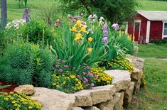 a garden with flowers and rocks in the grass