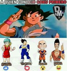 the evolution of goku from dragon ball to vegeta, and more than one