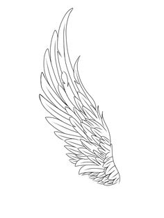 a drawing of an angel wing on a white background