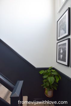 a potted plant sitting on top of a black and white stair case next to pictures