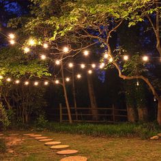 an outdoor area with lights strung over the trees and stepping stones on the ground in front of it