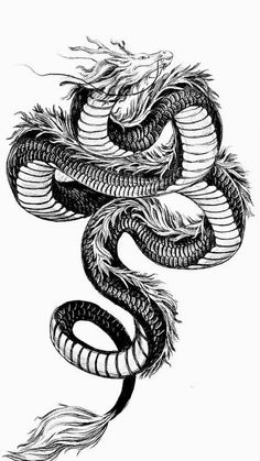 a black and white drawing of a dragon with feathers on it's tail, in the shape of a snake