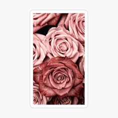 red and pink roses sticker