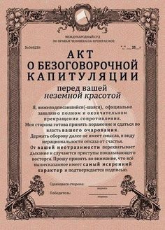 a certificate with an ornate frame on the front and back cover, in russian language